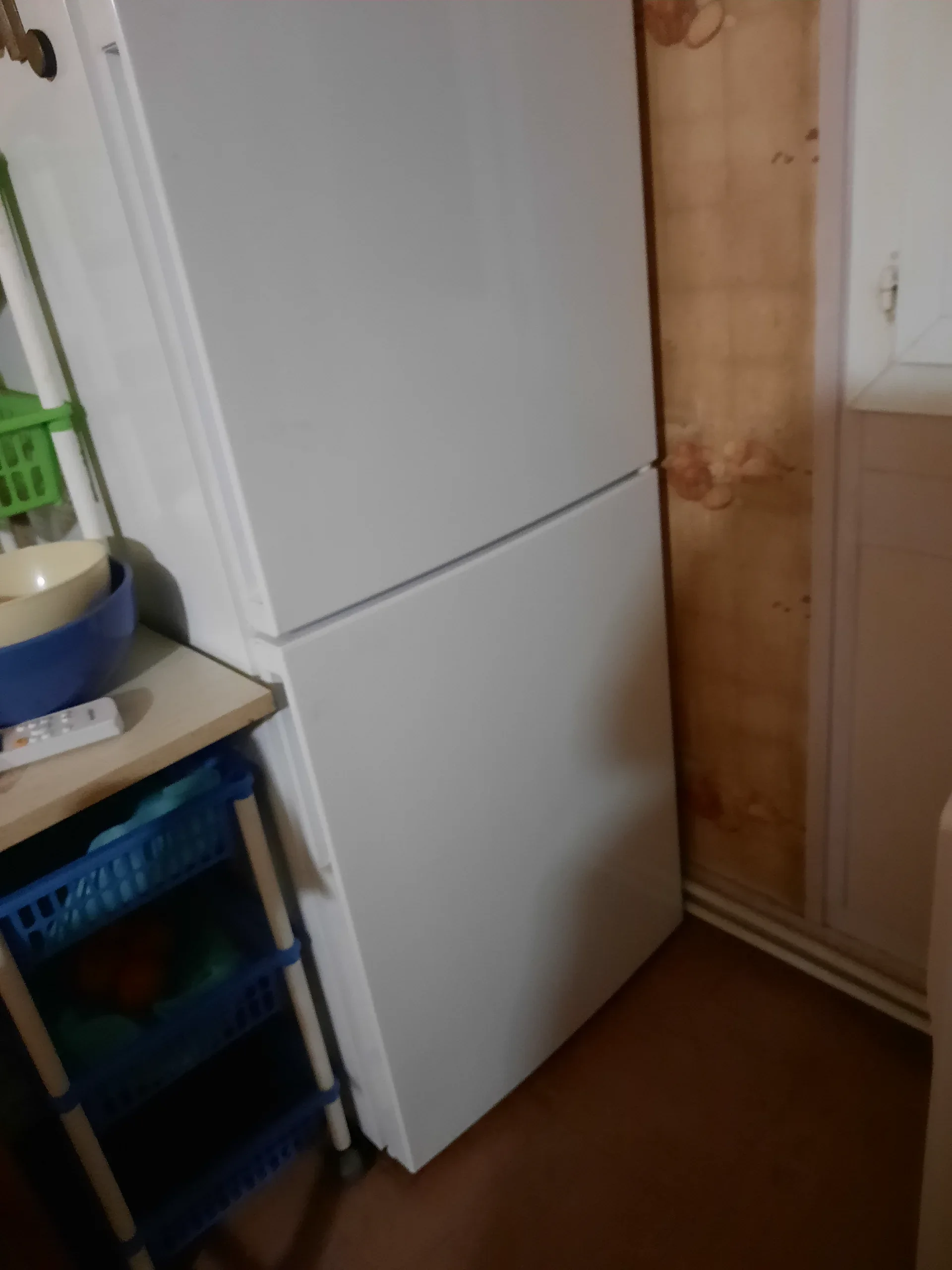 1000040631.webp